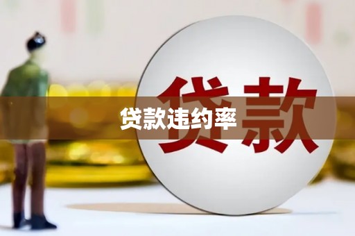 丹棱贷款违约率