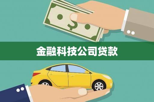 丹棱金融科技公司贷款