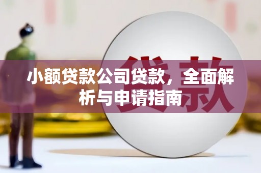 丹棱小额贷款公司贷款，全面解析与申请指南