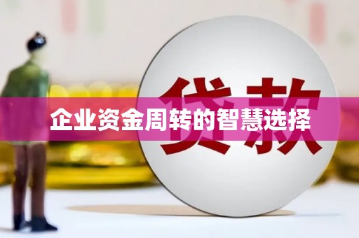 丹棱企业资金周转的智慧选择