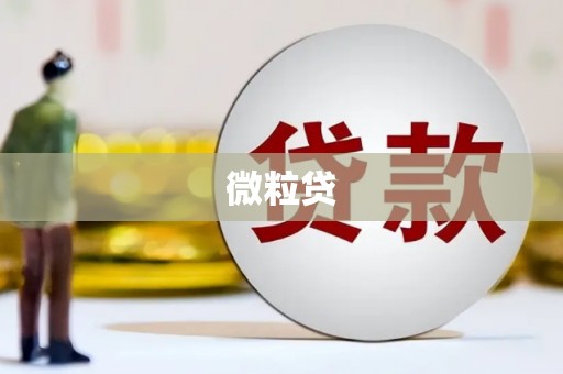 丹棱微粒贷