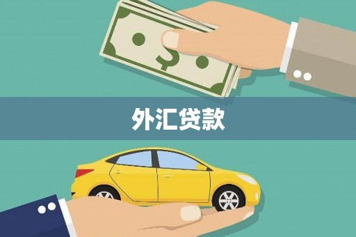 丹棱外汇贷款