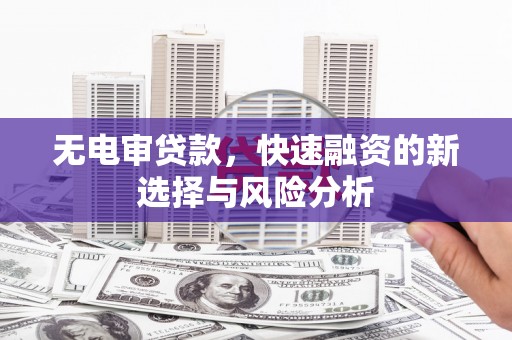 丹棱无电审贷款，快速融资的新选择与风险分析