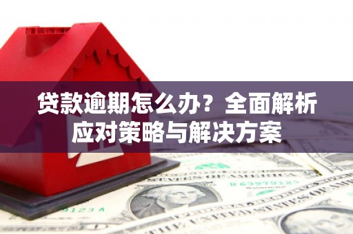 丹棱贷款逾期怎么办？全面解析应对策略与解决方案