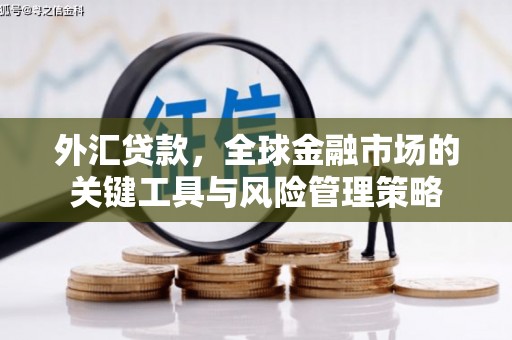 丹棱外汇贷款，全球金融市场的关键工具与风险管理策略