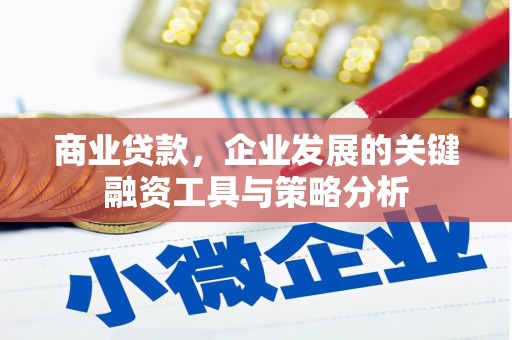 丹棱商业贷款，企业发展的关键融资工具与策略分析