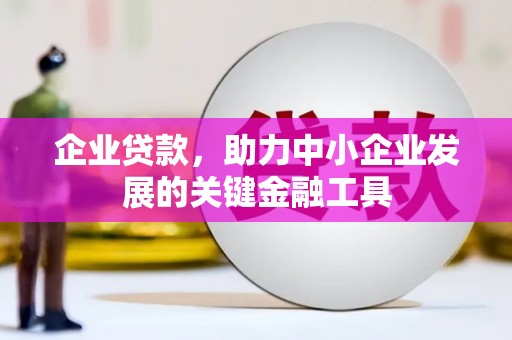 丹棱企业贷款，助力中小企业发展的关键金融工具