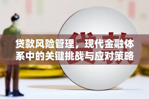 丹棱贷款风险管理，现代金融体系中的关键挑战与应对策略