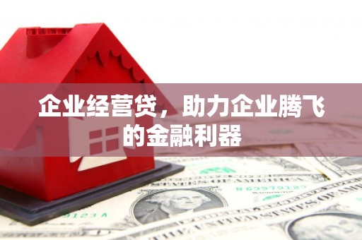 丹棱企业经营贷，助力企业腾飞的金融利器