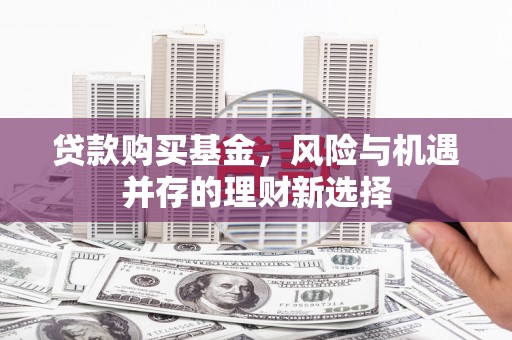 丹棱贷款购买基金，风险与机遇并存的理财新选择