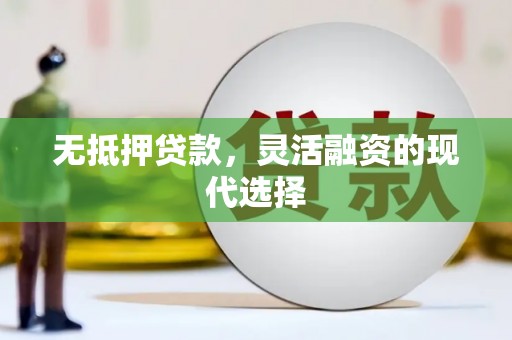 丹棱无抵押贷款，灵活融资的现代选择
