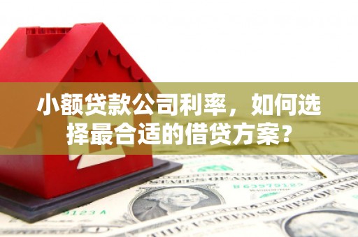 丹棱小额贷款公司利率，如何选择最合适的借贷方案？