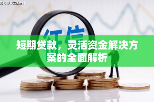 丹棱短期贷款，灵活资金解决方案的全面解析