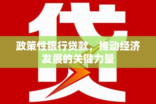丹棱政策性银行贷款，推动经济发展的关键力量