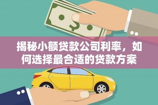 丹棱揭秘小额贷款公司利率，如何选择最合适的贷款方案
