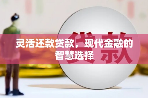 丹棱灵活还款贷款，现代金融的智慧选择
