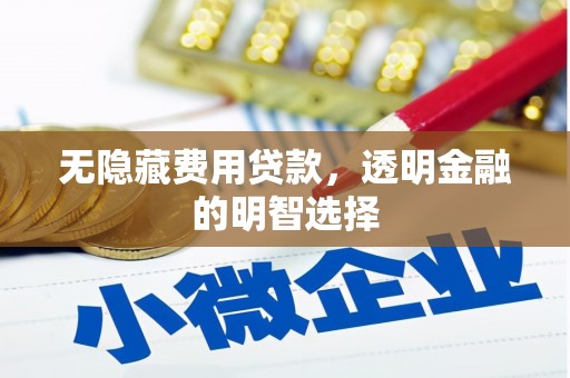 丹棱无隐藏费用贷款，透明金融的明智选择