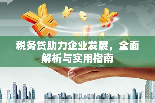 丹棱税务贷助力企业发展，全面解析与实用指南