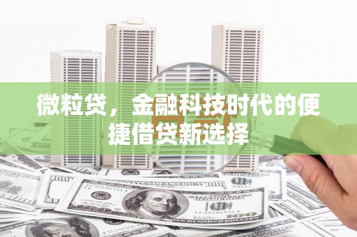 丹棱微粒贷，金融科技时代的便捷借贷新选择