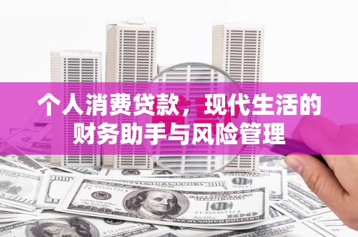 丹棱个人消费贷款，现代生活的财务助手与风险管理