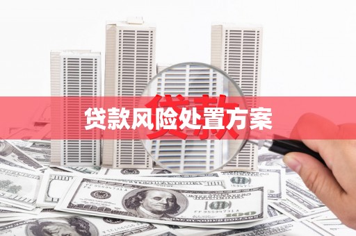 丹棱贷款风险处置方案