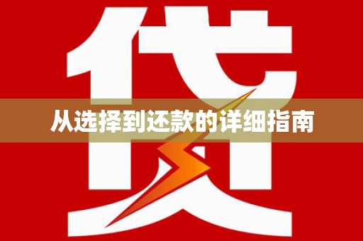 丹棱从选择到还款的详细指南