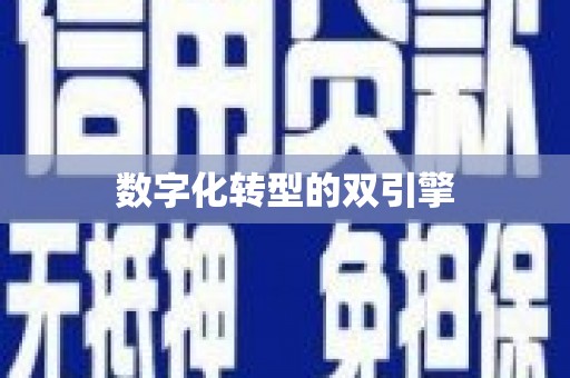 丹棱数字化转型的双引擎