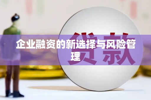 丹棱企业融资的新选择与风险管理